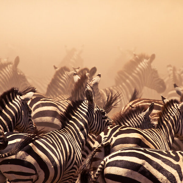 Tanzania