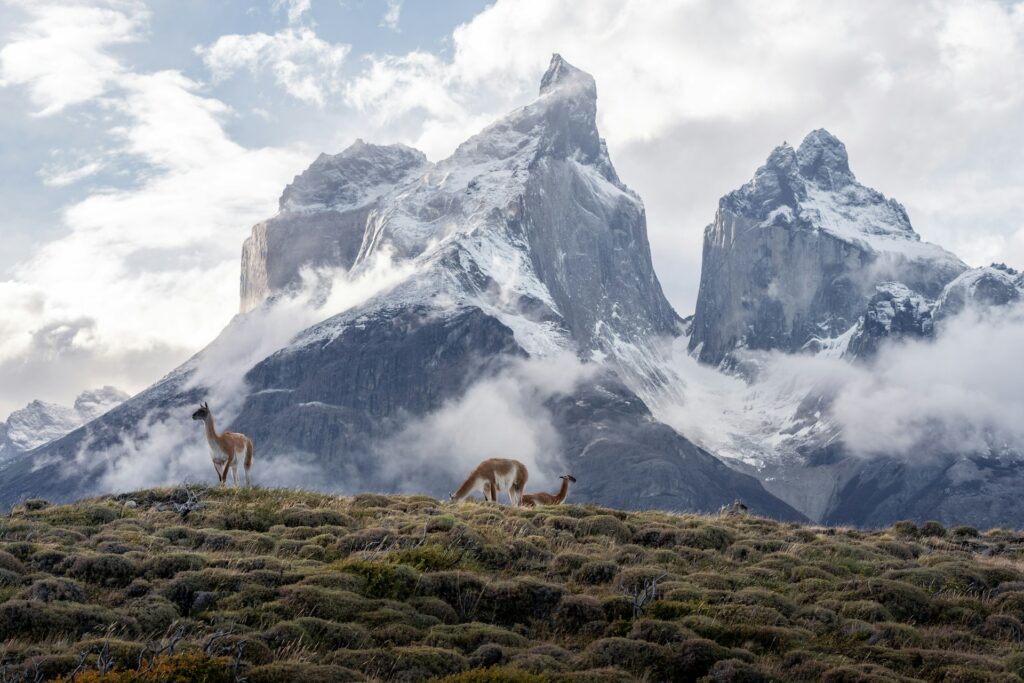 Ecuador
