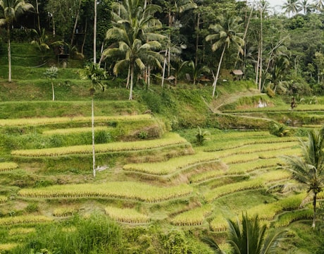 Bali mágico