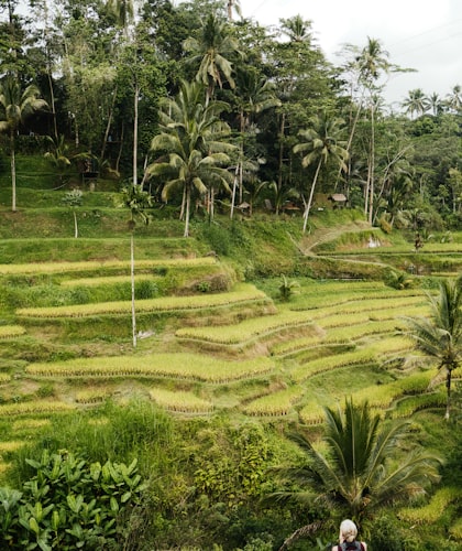 Viaje romántico a Bali