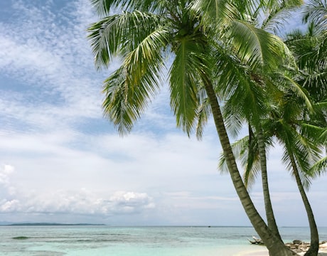 Caribe todo incluido