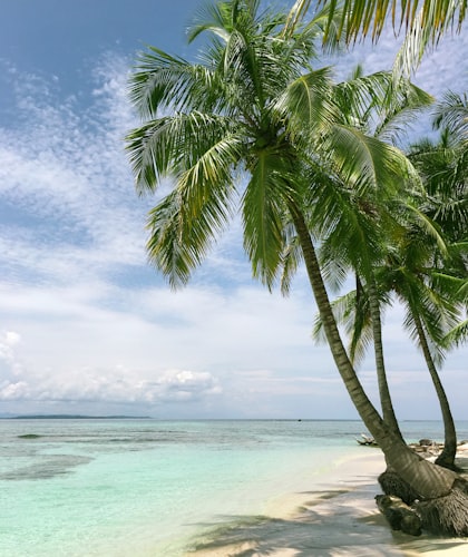 Viaje a Caribe